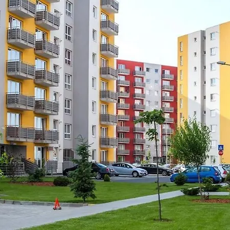 5 Braşov